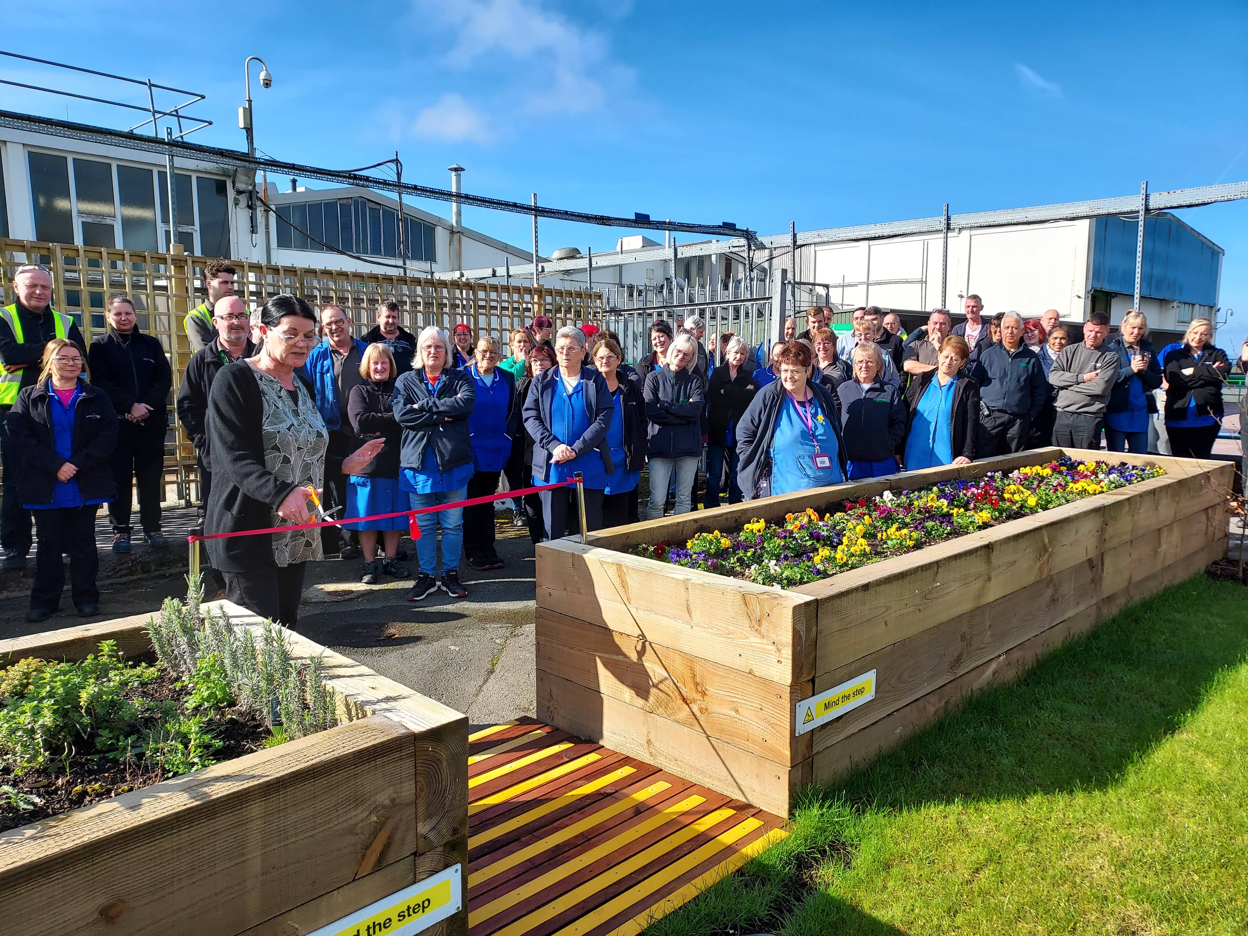 Drayton_Sustainability_Biodiversity_Employee_Wellbeing_Garden