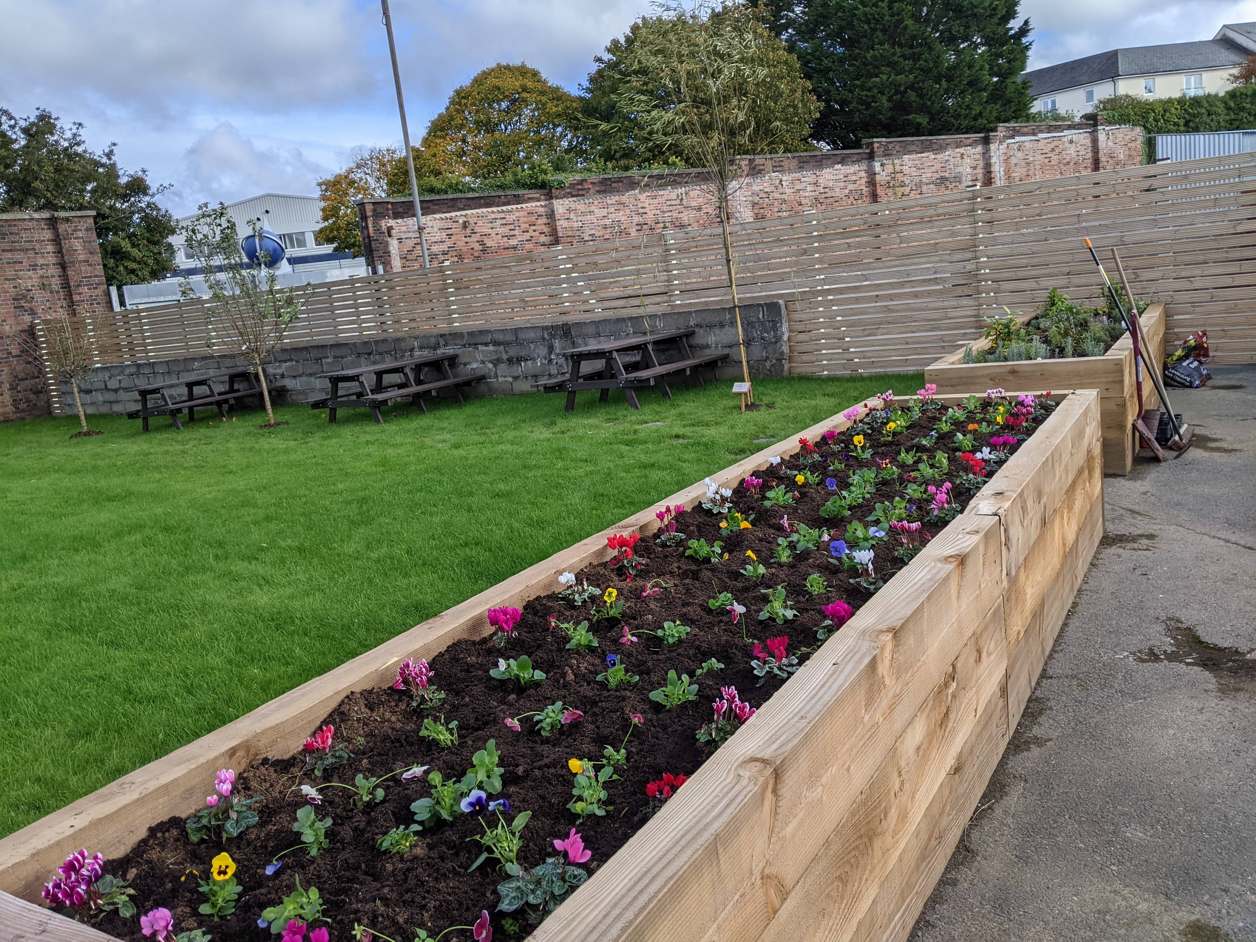 Drayton_Sustainability_Biodiversity_Employee_Wellbeing_Garden_2