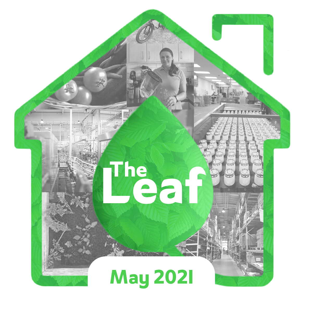 Drayton_corporate_sustainability_blog_The_Leaf_May_2021