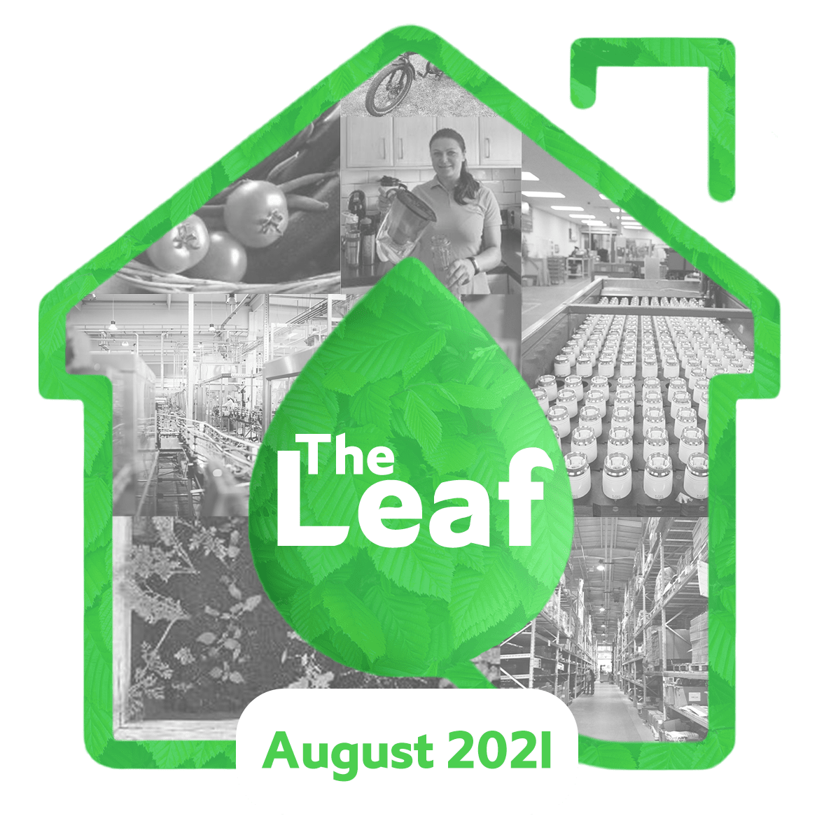 The Leaf Sustainability Blog by Drayton - August 2021