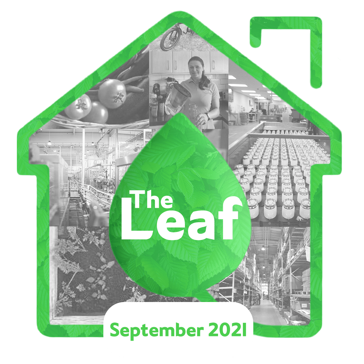 The Leaf - Drayton Sustainability Blog - Logo Sep 2021
