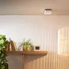 Smoke Alarm - Battery - CCT599002 Installed